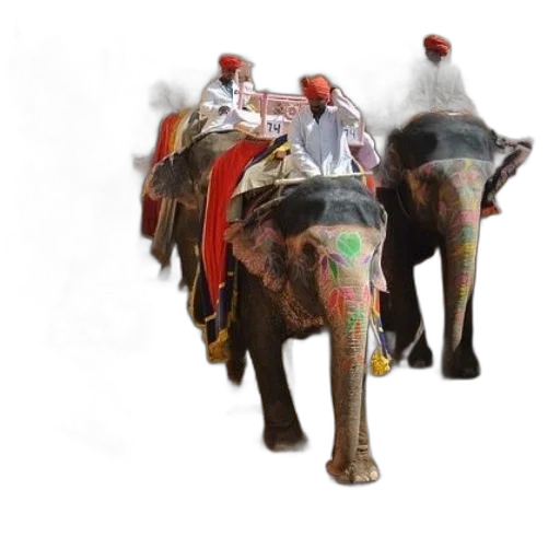 animal, staff, concept art, photorealistic transparent PNG cut-out