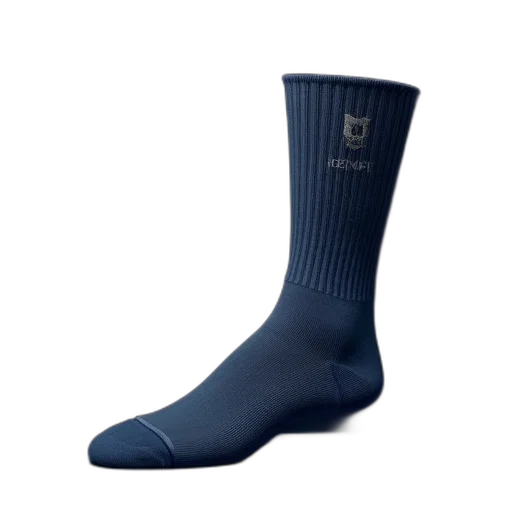 thermore, socks, silver, logo transparent PNG cut-out