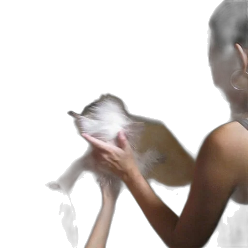 creature, animal, photorealistic, concept art transparent PNG cut-out