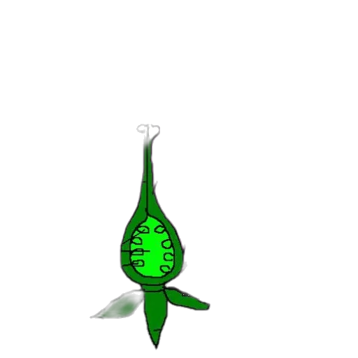 bottle, jewelry, dragon, weapon transparent PNG cut-out