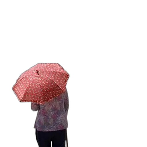 umbrella, dress, hat, jacket transparent PNG cut-out
