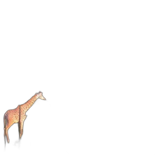 animal, creature, dragon, weapon transparent PNG cut-out