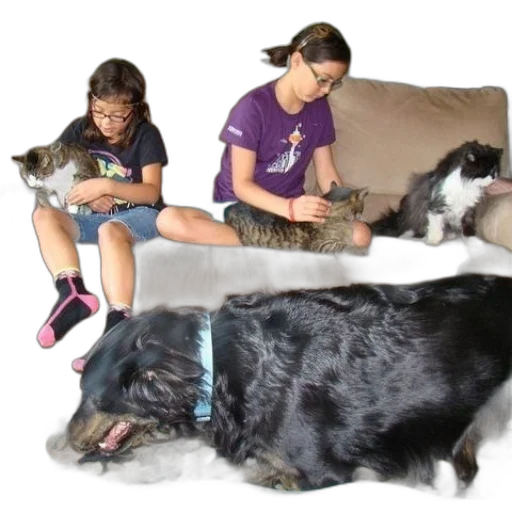 two, girls, sit, couch transparent PNG cut-out