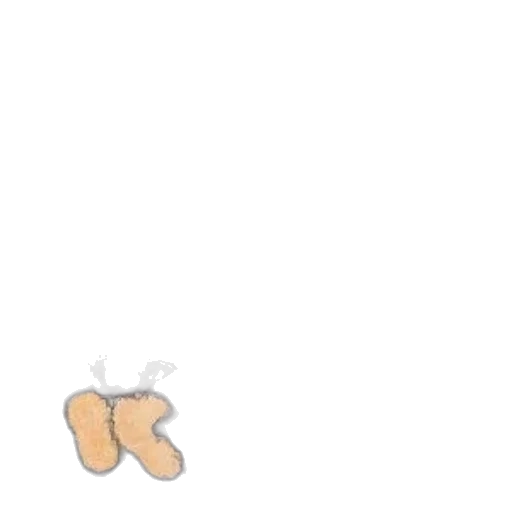 shoes, hair, food, animal transparent PNG cut-out