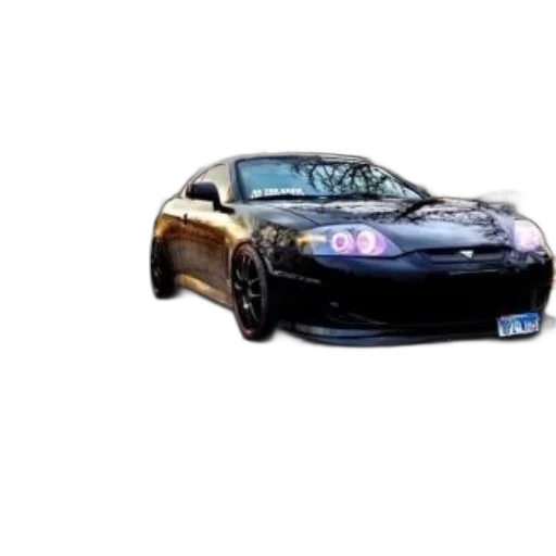 car, animal, weapon, photorealistic transparent PNG cut-out