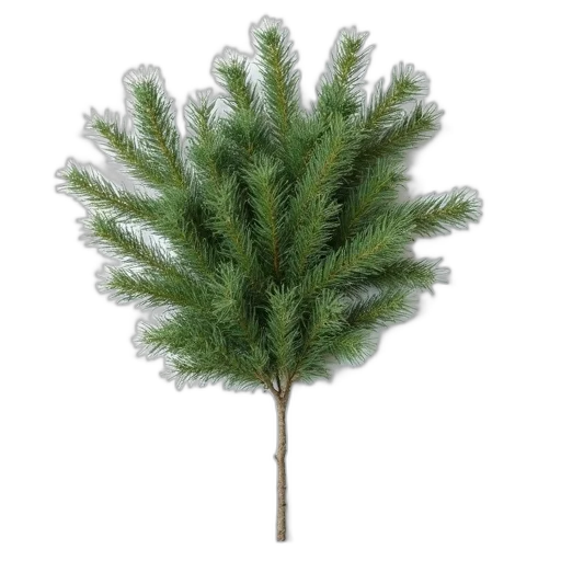 tree, hair, crown, staff transparent PNG cut-out