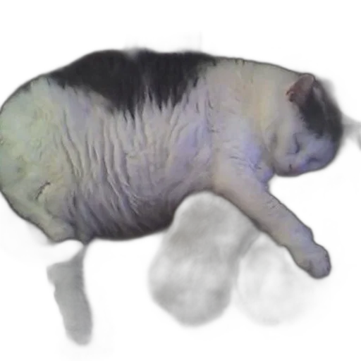 creature, animal, food, robot transparent PNG cut-out
