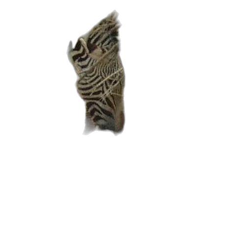 jewelry, animal, mask, staff transparent PNG cut-out