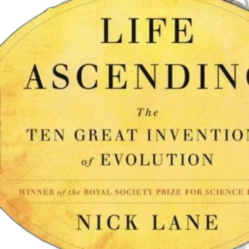 book, cover, life, ascending transparent PNG cut-out