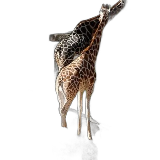 animal, crown, staff, creature transparent PNG cut-out