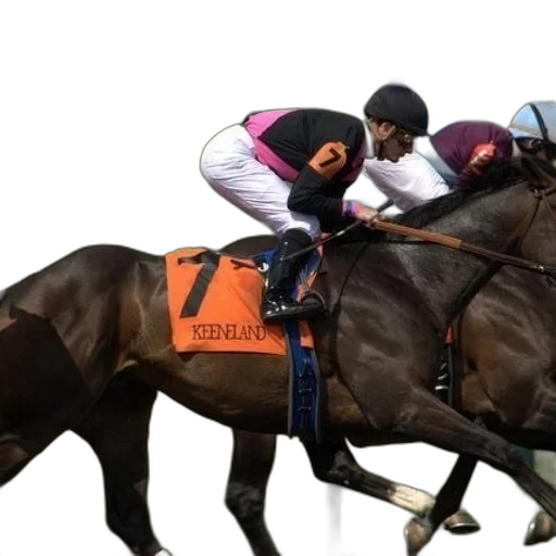 jockey, horse, word, keeneland transparent PNG cut-out