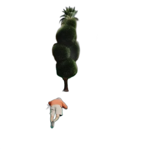 creature, animal, food, staff transparent PNG cut-out