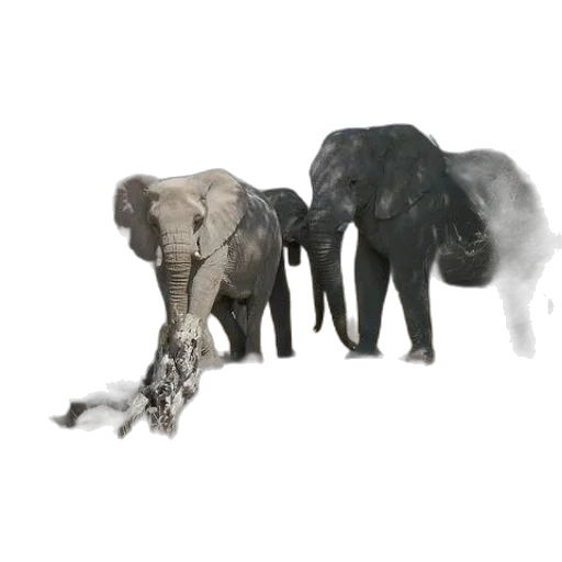 animal, creature, staff, weapon transparent PNG cut-out