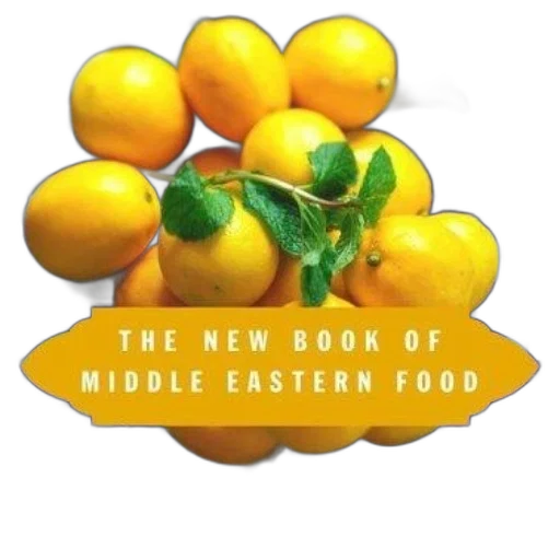 food, photorealistic, new, book transparent PNG cut-out