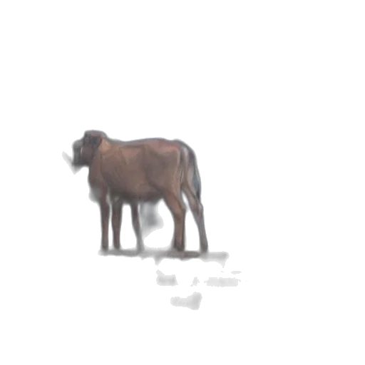 animal, creature, staff, robot transparent PNG cut-out
