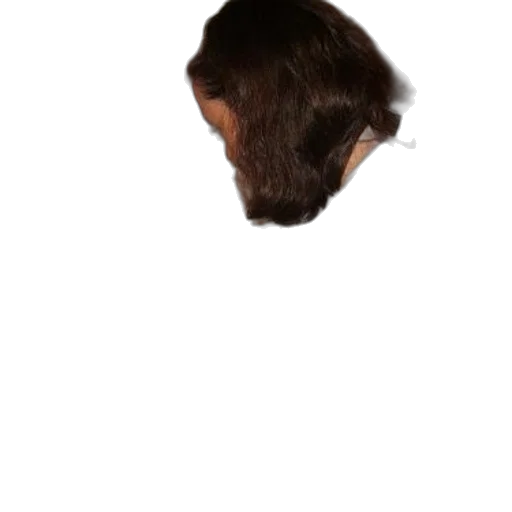 hair, face, hat, mask transparent PNG cut-out