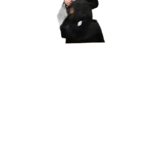 staff, jacket, hat, weapon transparent PNG cut-out