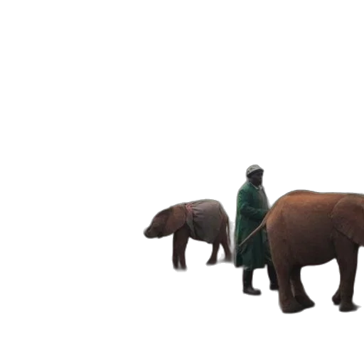 animal, creature, concept art, 3d render transparent PNG cut-out
