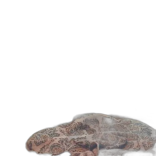 animal, hair, creature, hat transparent PNG cut-out