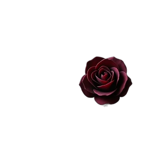 flower, crown, jewelry, staff transparent PNG cut-out