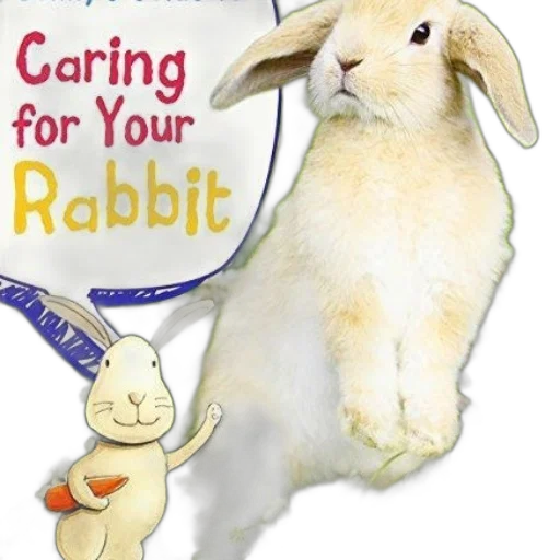 book, cover, featuring, rabbit transparent PNG cut-out