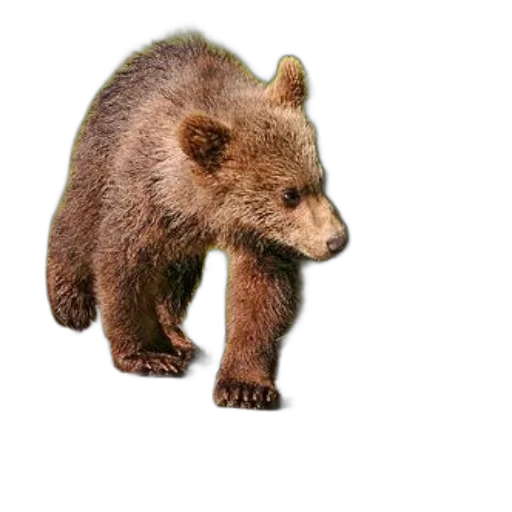 animal, creature, staff, weapon transparent PNG cut-out