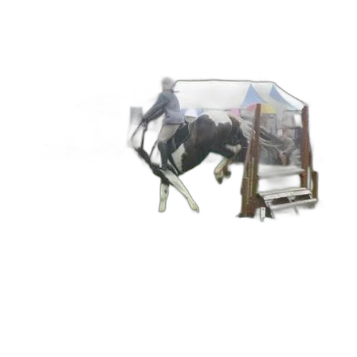 robot, animal, furniture, creature transparent PNG cut-out