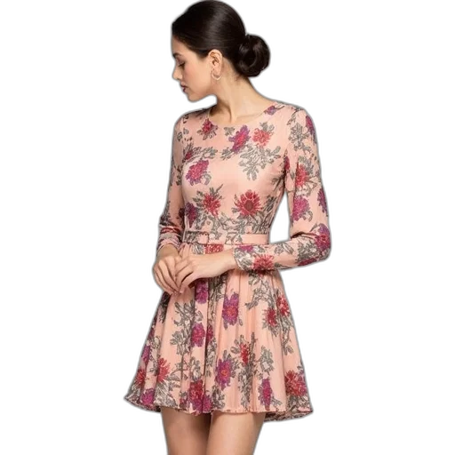 dress, free, shipping, 2013 transparent PNG cut-out