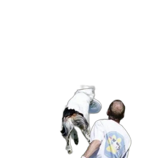staff, animal, creature, jacket transparent PNG cut-out