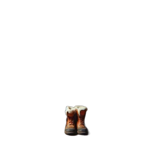 shoes, animal, bottle, robot transparent PNG cut-out