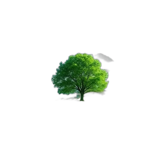 tree, umbrella, hat, dress transparent PNG cut-out