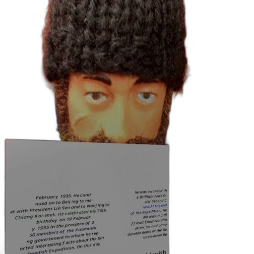hat, mask, face, hair transparent PNG cut-out
