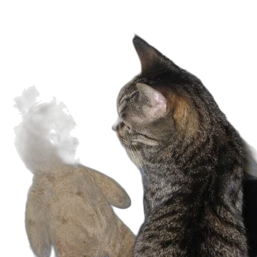 staff, animal, creature, dragon transparent PNG cut-out