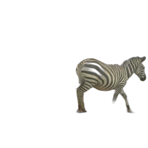 animal, furniture, creature, jewelry transparent PNG cut-out