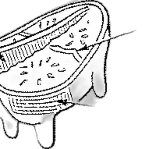 shoes, crown, jewelry, hat transparent PNG cut-out