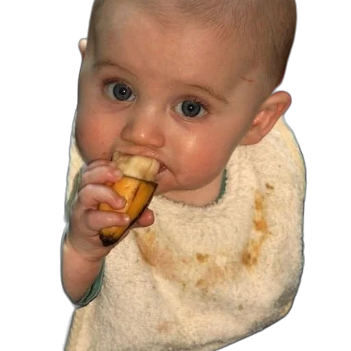 food, face, jacket, photorealistic transparent PNG cut-out
