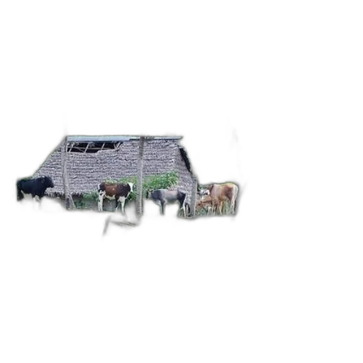 building, furniture, food, animal transparent PNG cut-out