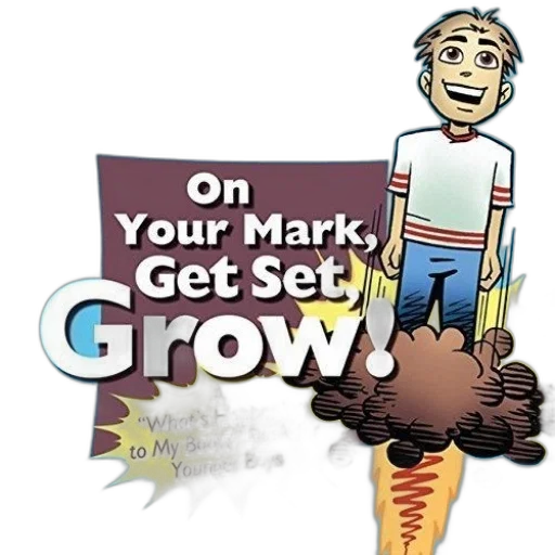 crown, hair, 3d render, book transparent PNG cut-out
