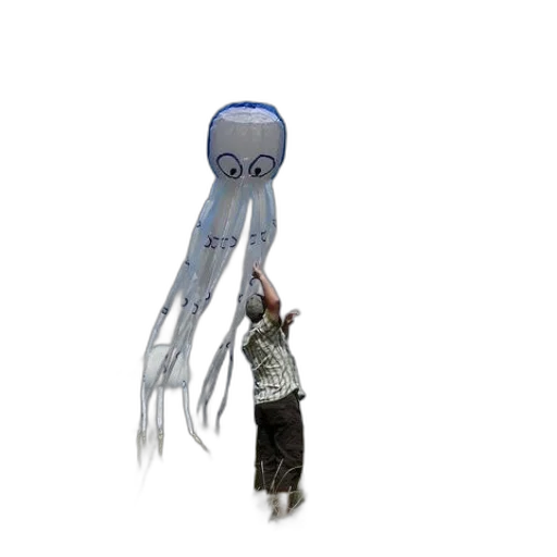 creature, hair, hat, staff transparent PNG cut-out