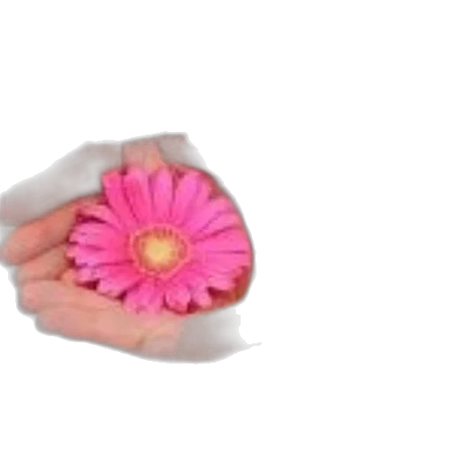 flower, jewelry, weapon, crown transparent PNG cut-out