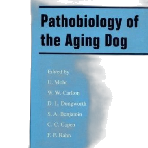cover, pathobiology, aging, dog transparent PNG cut-out