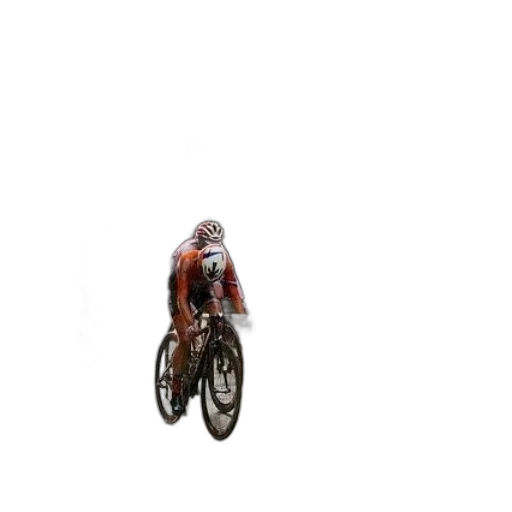 animal, creature, car, hair transparent PNG cut-out