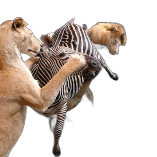 animal, concept art, dramatic, scene transparent PNG cut-out