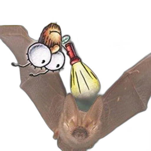 staff, umbrella, animal, weapon transparent PNG cut-out