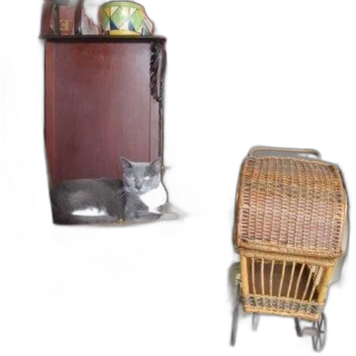 furniture, animal, photorealistic, 3d render transparent PNG cut-out