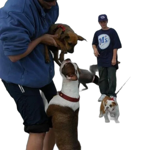 staff, animal, creature, 3d render transparent PNG cut-out