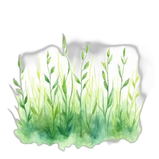flower, crown, hair, bottle transparent PNG cut-out