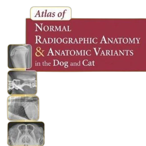 animal, cover, atlas, normal transparent PNG cut-out