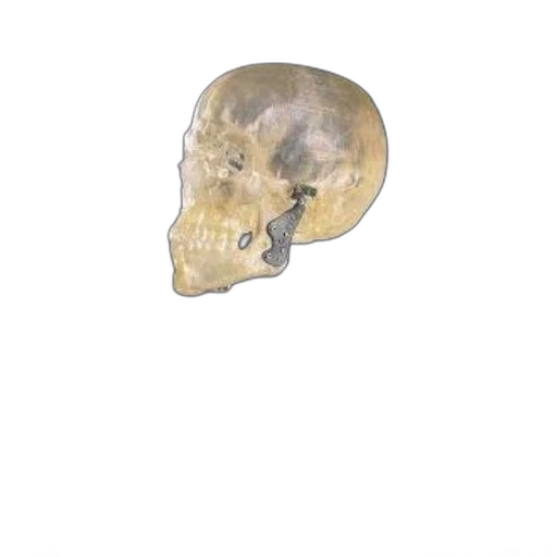 mask, face, jewelry, crown transparent PNG cut-out
