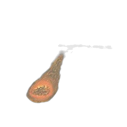 hair, weapon, food, staff transparent PNG cut-out